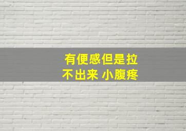 有便感但是拉不出来 小腹疼